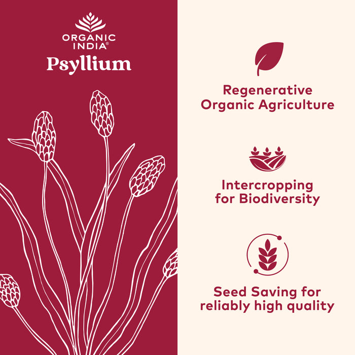 Organic Psyllium Whole Husk Fiber, 12oz, vegan, gluten-free, regeneratively grown