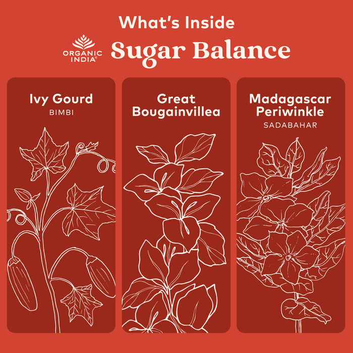 Herbal illustration of ingredients in organic sugar balance capsules, including ivy gourd, great bougainvillea, and Madagascar periwinkle.