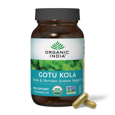 Gotu Kola capsules in glass jar for brain support