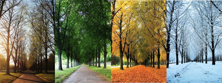 Adaptogens for Seasonal Change