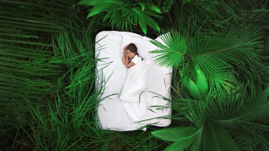 The Pursuit of a Good Night’s Sleep