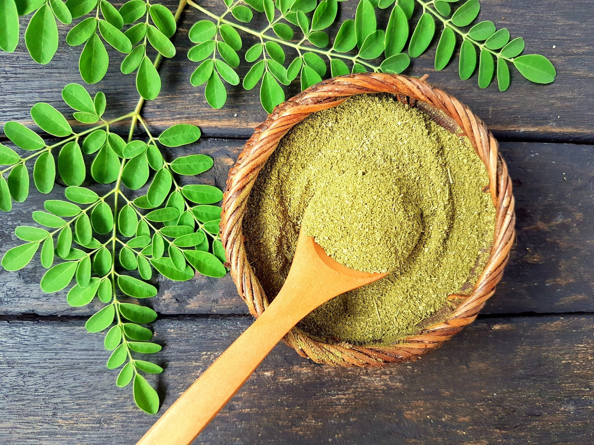 Superfood Moringa: The Gift of Clean Energy