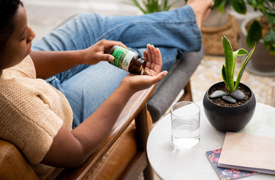 7 Best Herbs for Urinary Tract Health