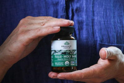 Top Adrenal Support Herbs for Stress and Energy Balance