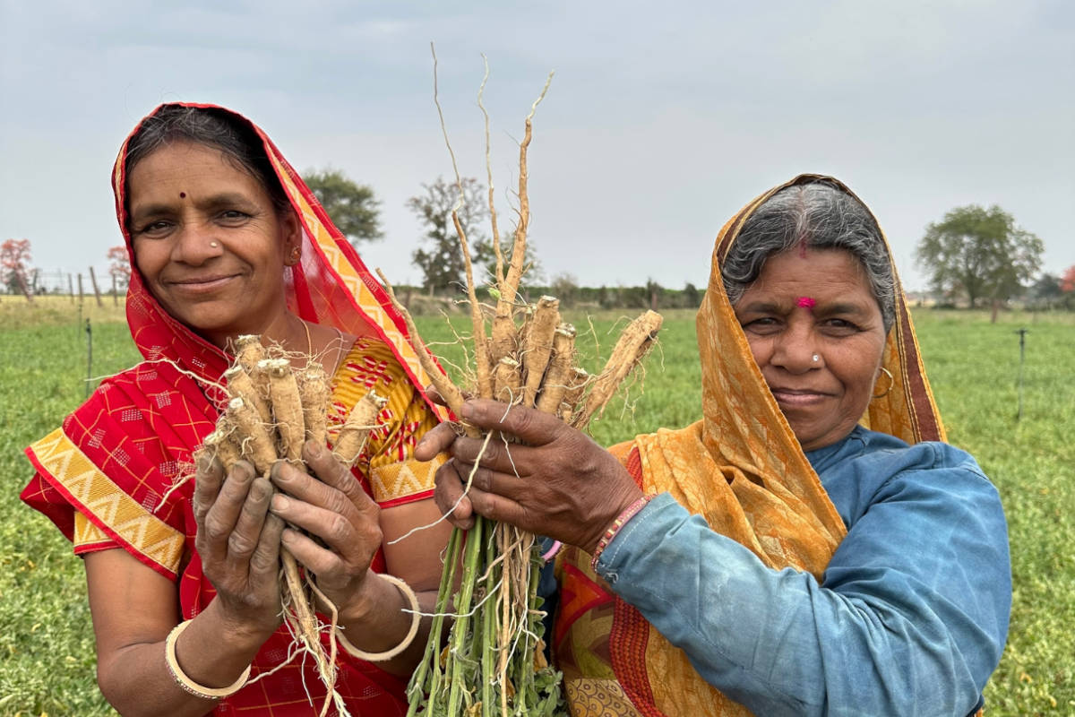 7 Top Ashwagandha Benefits for Women