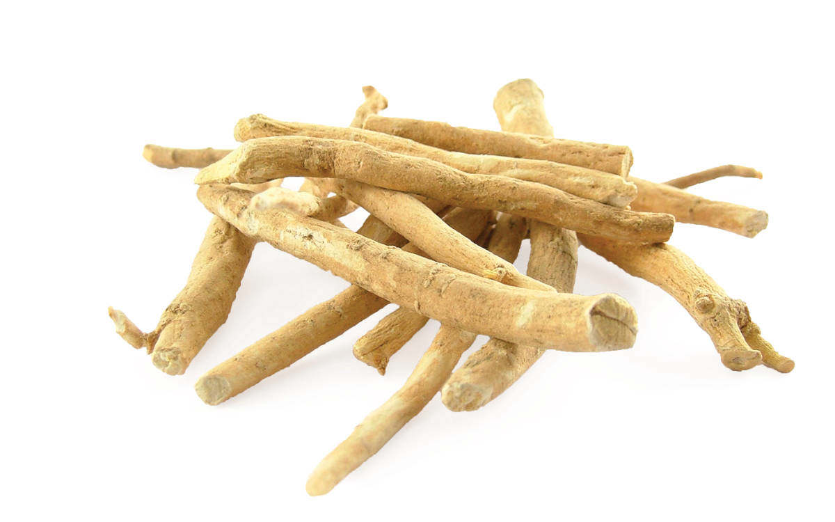 Powerful Ashwagandha for Immune Support and Recovery