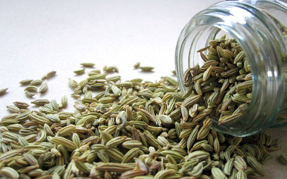 6 Fascinating Benefits of Fennel
