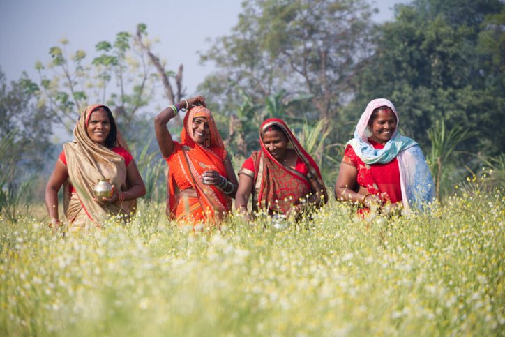 woman farmers on thriving organic chamomile farm