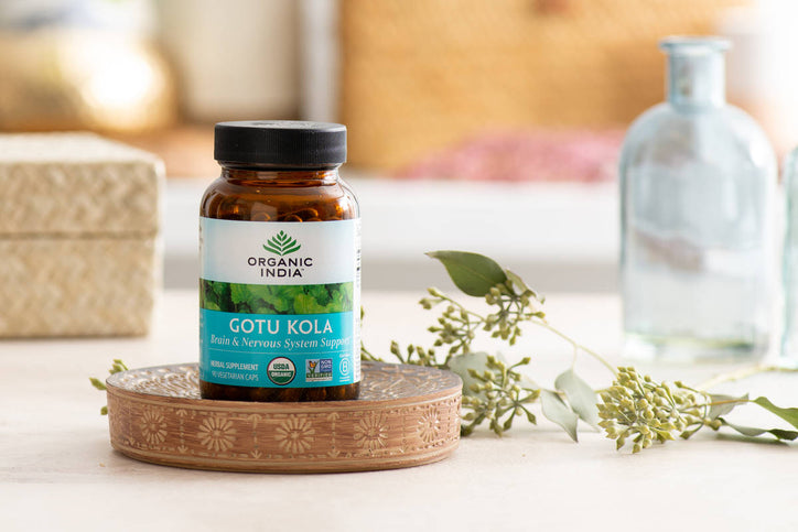 Gotu kola for brain function and skin health in glass supplement jar on handcarved platter on wood table.