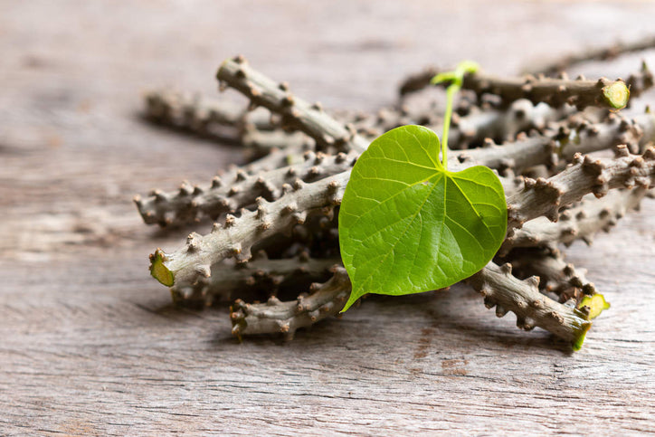 guduchi stem and leaf on wood table