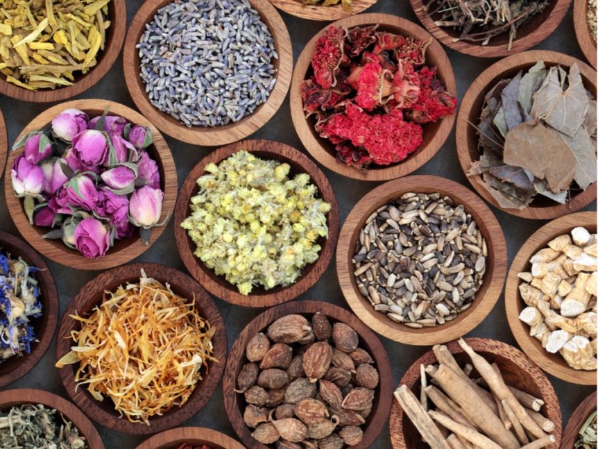 Harnessing the Ancient Power of Adaptogenic Herbs