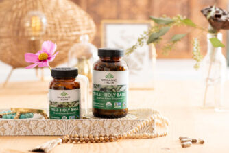 tulsi holy basil capsules