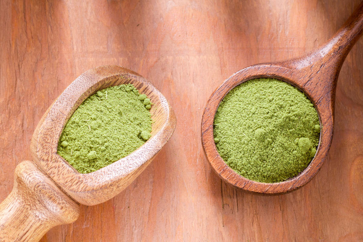 Moringa vs Matcha: Which to Latte?