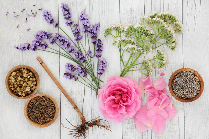 Herbs in a table
