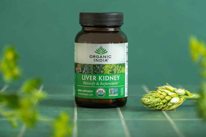 Punarnava Benefits: How to Support Detox and Organ Health