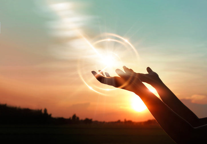Sacred Plants, Sacred World — Sacred You?