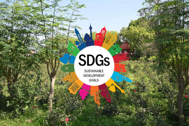 sustaiable development goals, organic india organic farm