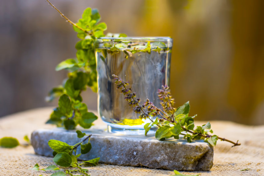 What is Tulsi? All About Holy Basil