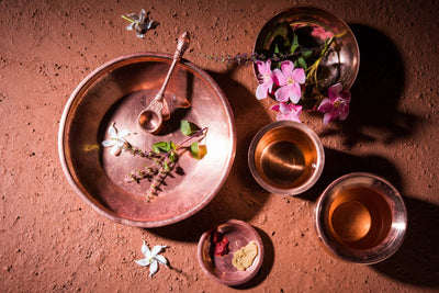 Tulsi in Ayurveda: A Divine Botanical 