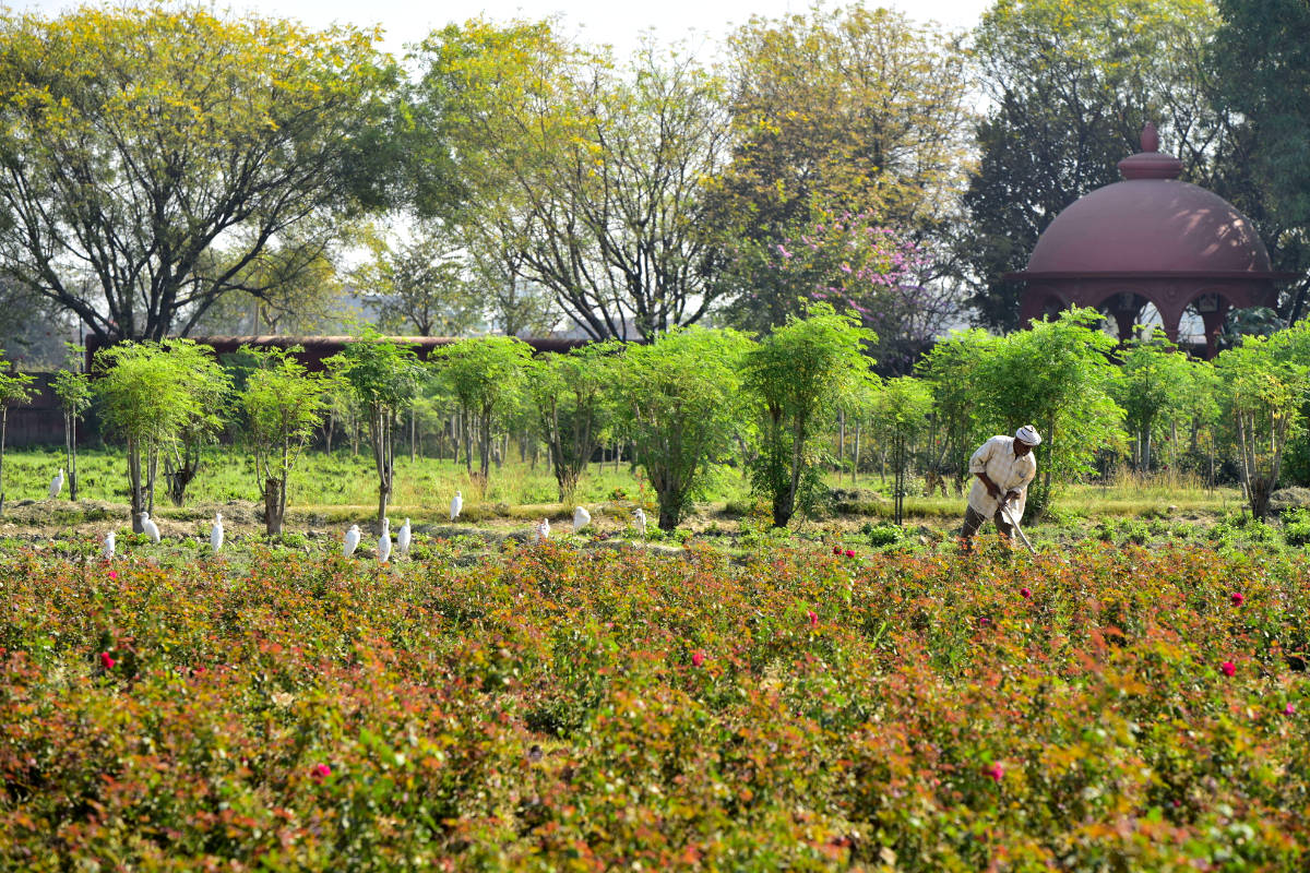 Water Conservation in Agriculture: Top 10 Practices