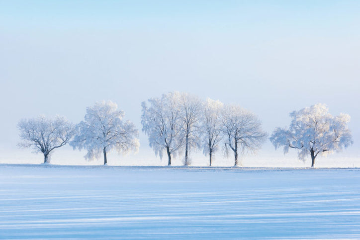 Winter is Kapha Season — How the Doshas can Adapt