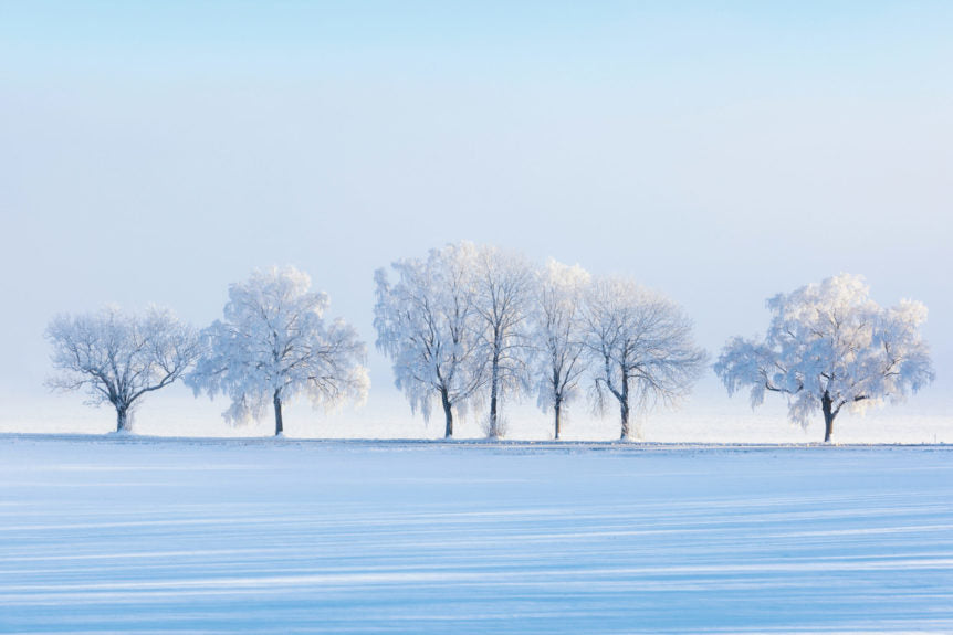 Winter is Kapha Season — How the Doshas can Adapt