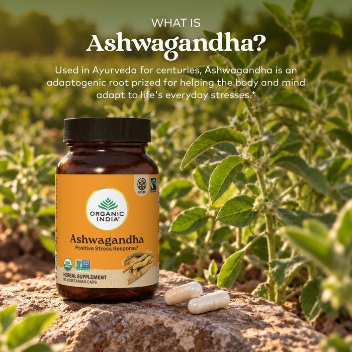 Ashwagandha Capsules