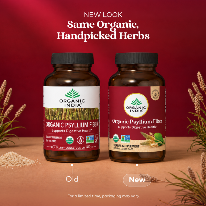 Psyllium Husk Capsules