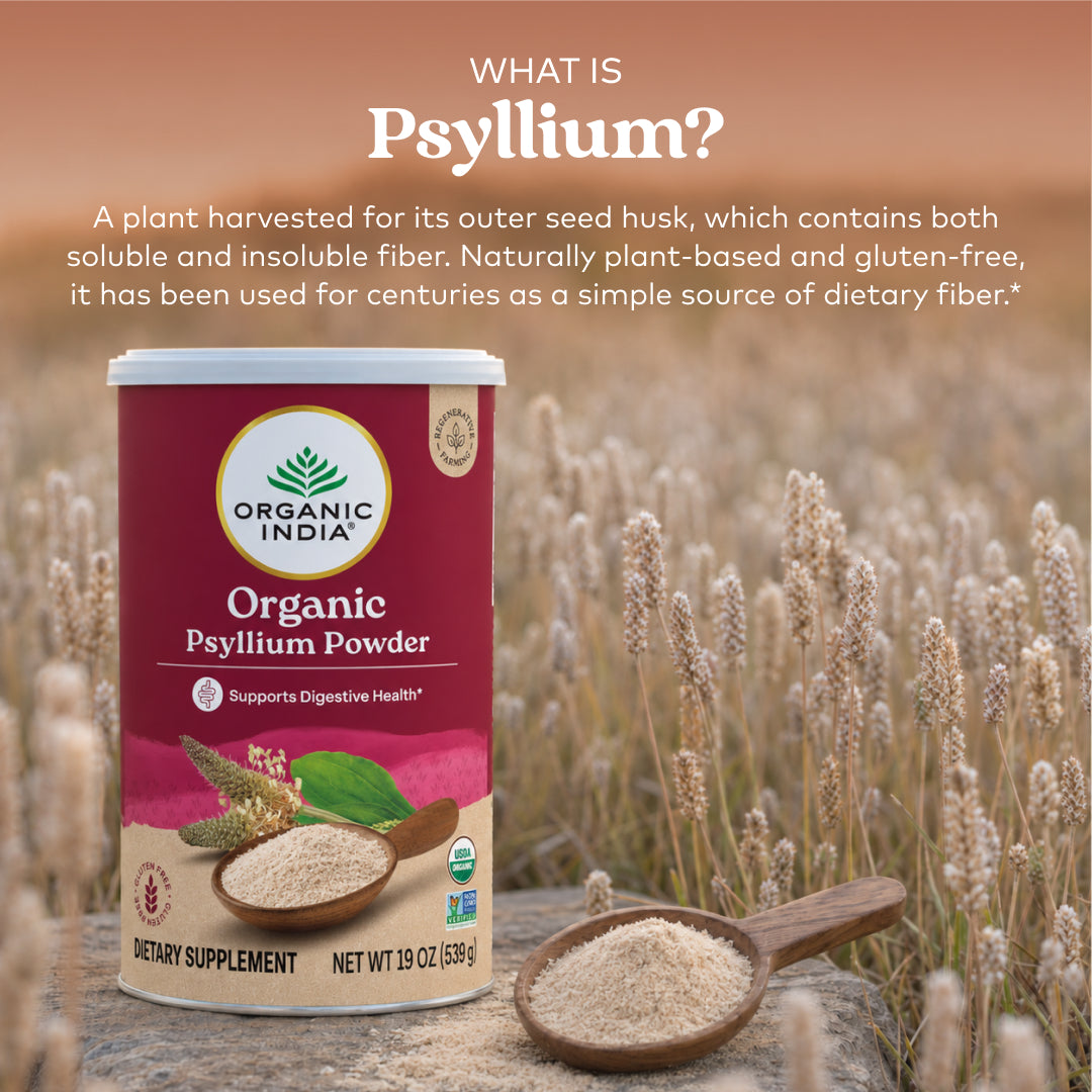 Psyllium Powder