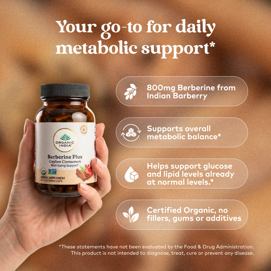 Berberine Plus Ceylon Cinnamon Capsules for Metabolic Wellness*