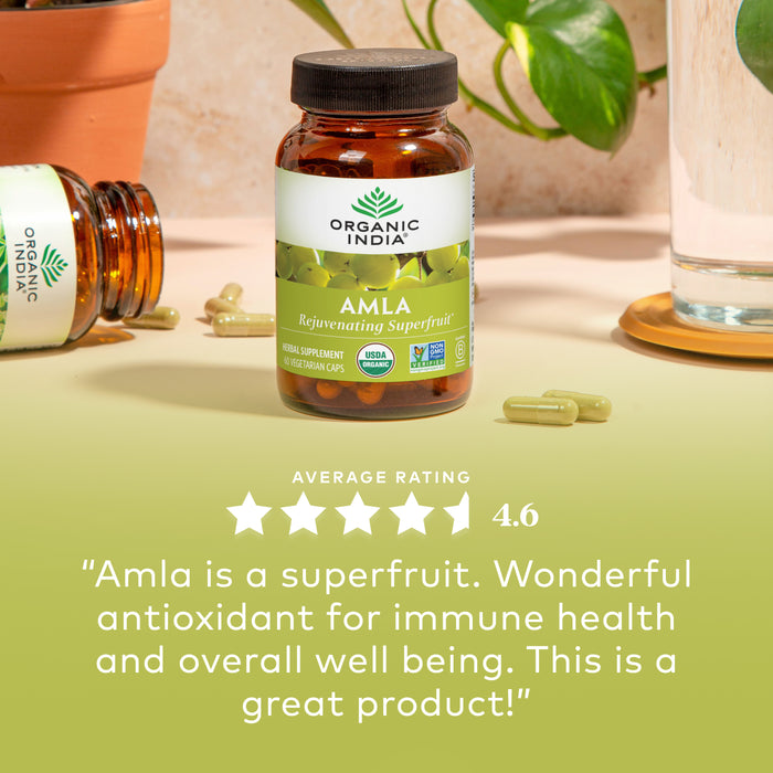 Amla Indian Gooseberry Fruit Supplement | Organic India Organic India USA Amla Indian Gooseberry Fruit Supplement | Organic India Organic India USA