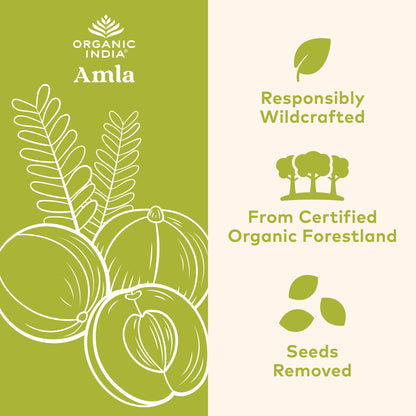 Amla Indian Gooseberry Fruit Supplement | Organic India – Organic India USA