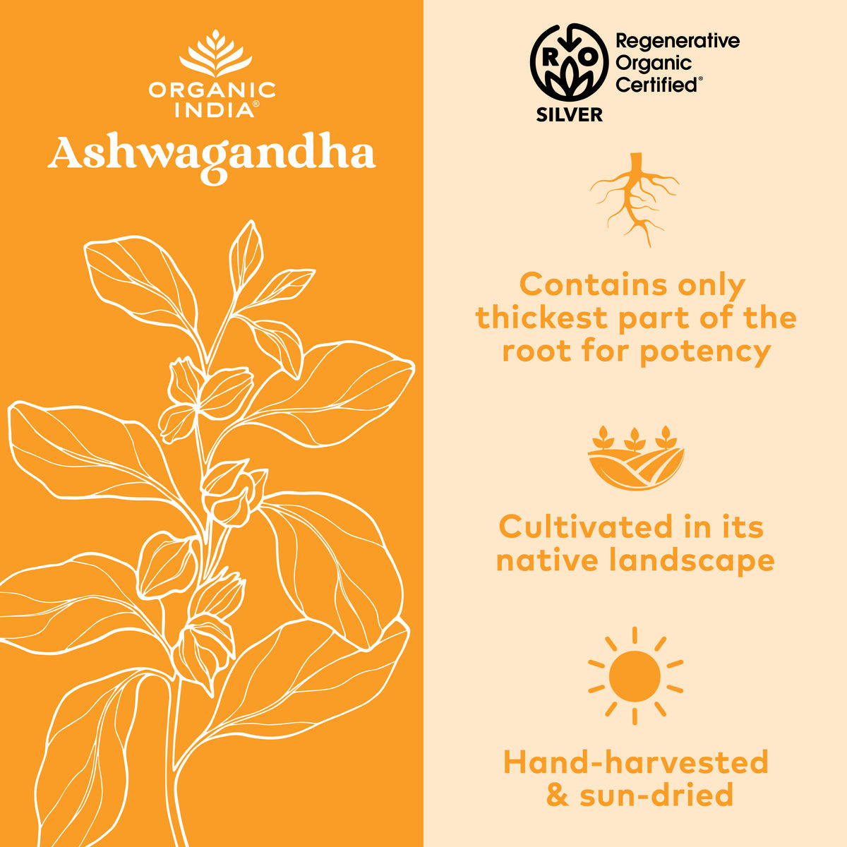Ashwagandha Capsules Supplement | Organic India