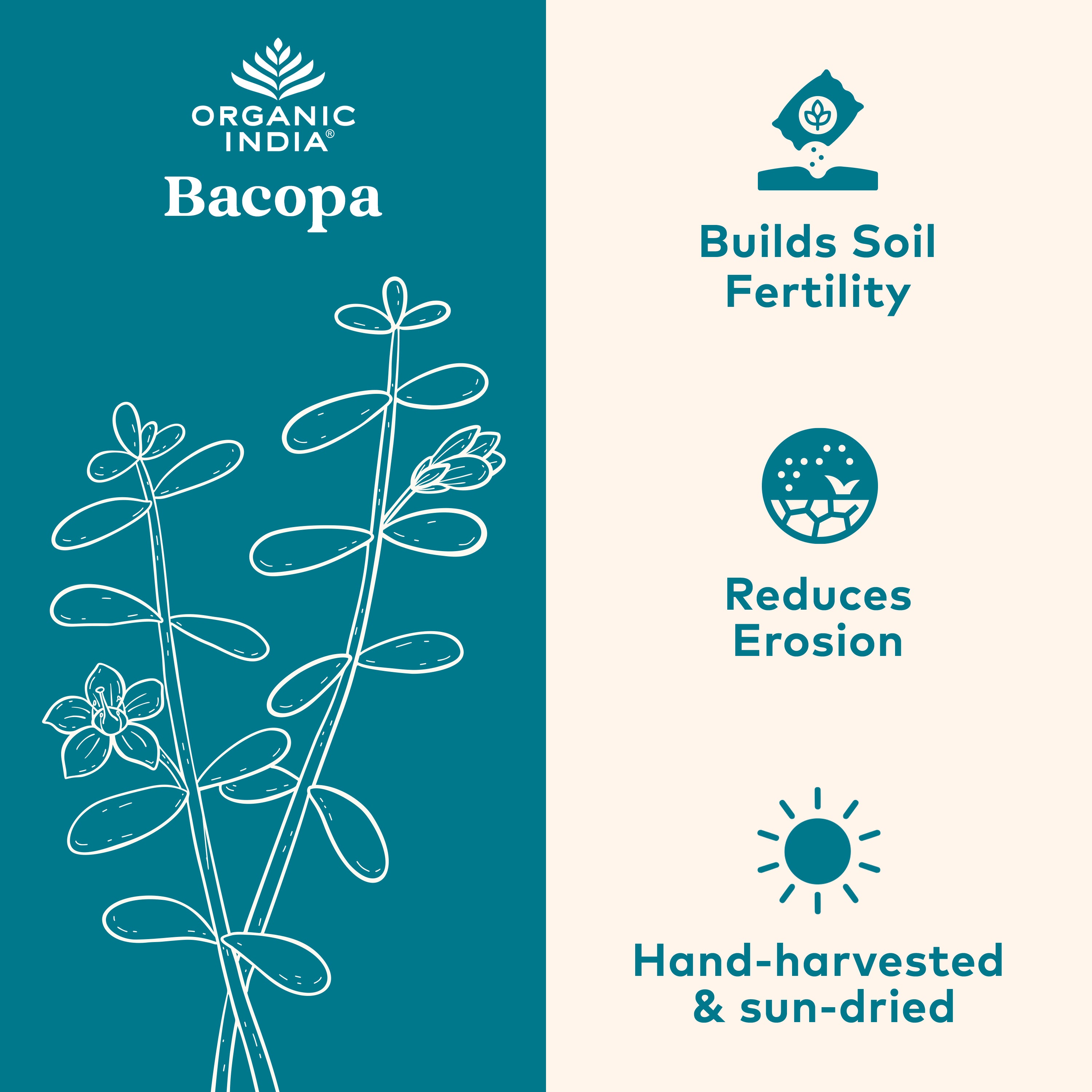 bacopa benefits for soil 