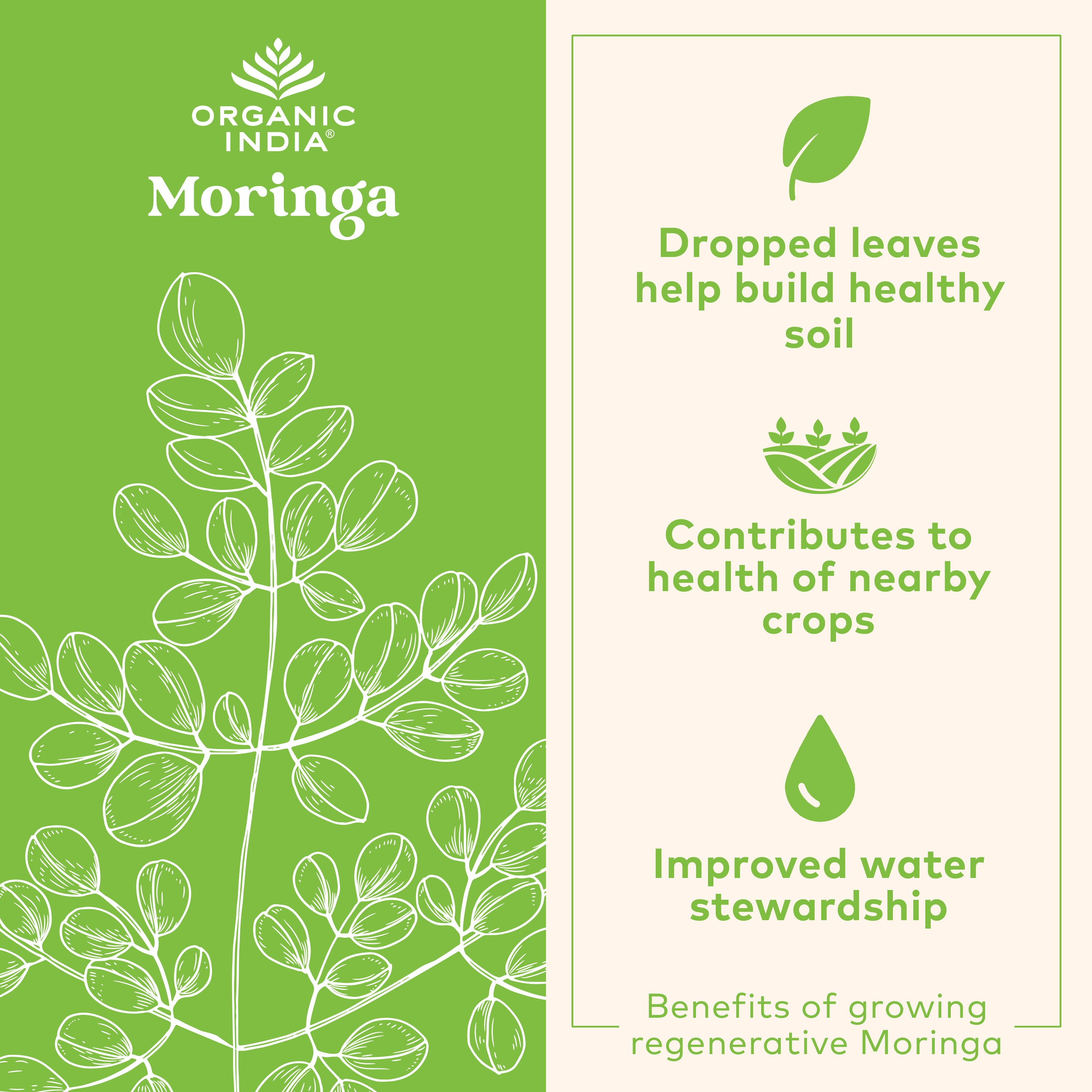 Moringa Supergreens Gummies