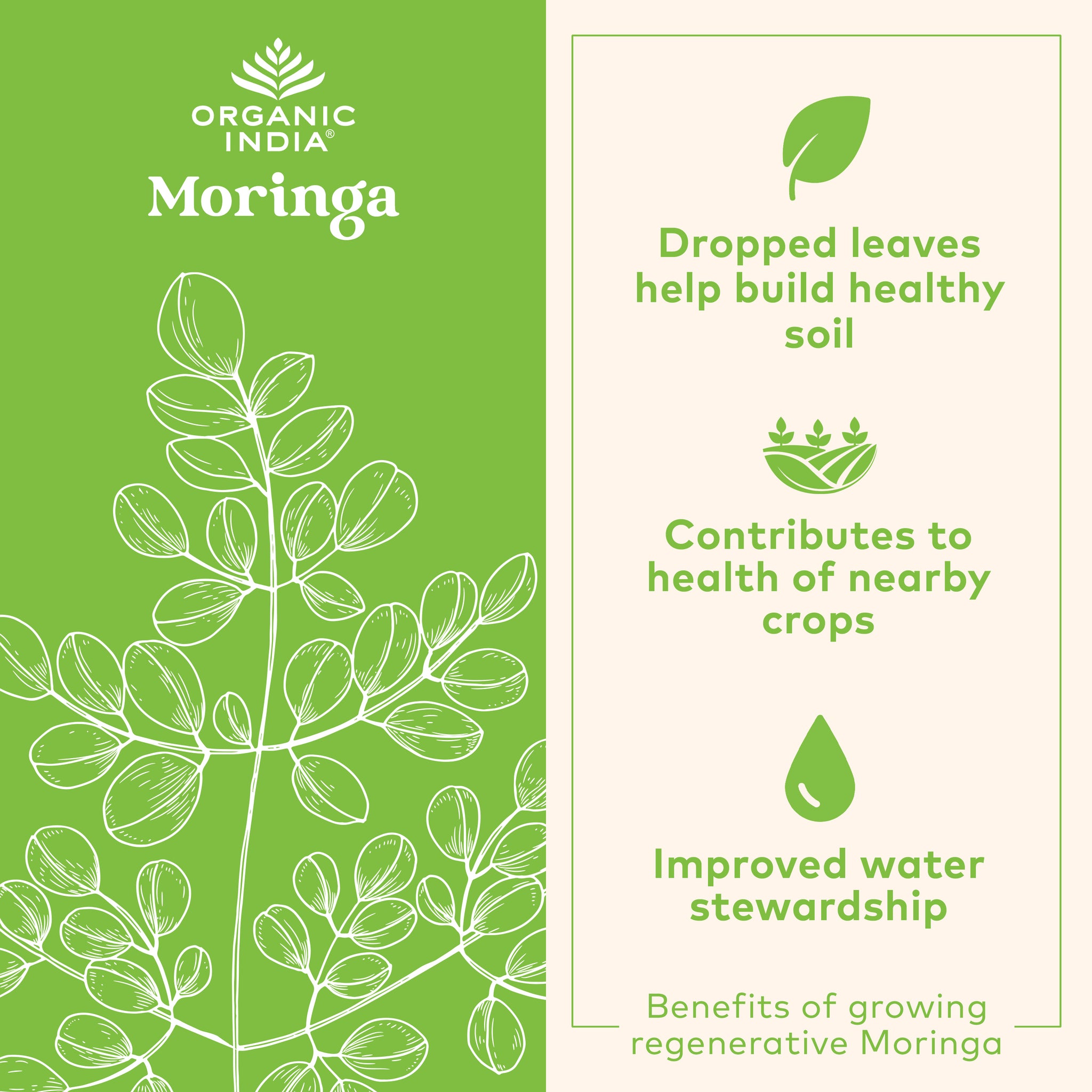 Moringa Supergreens Gummies