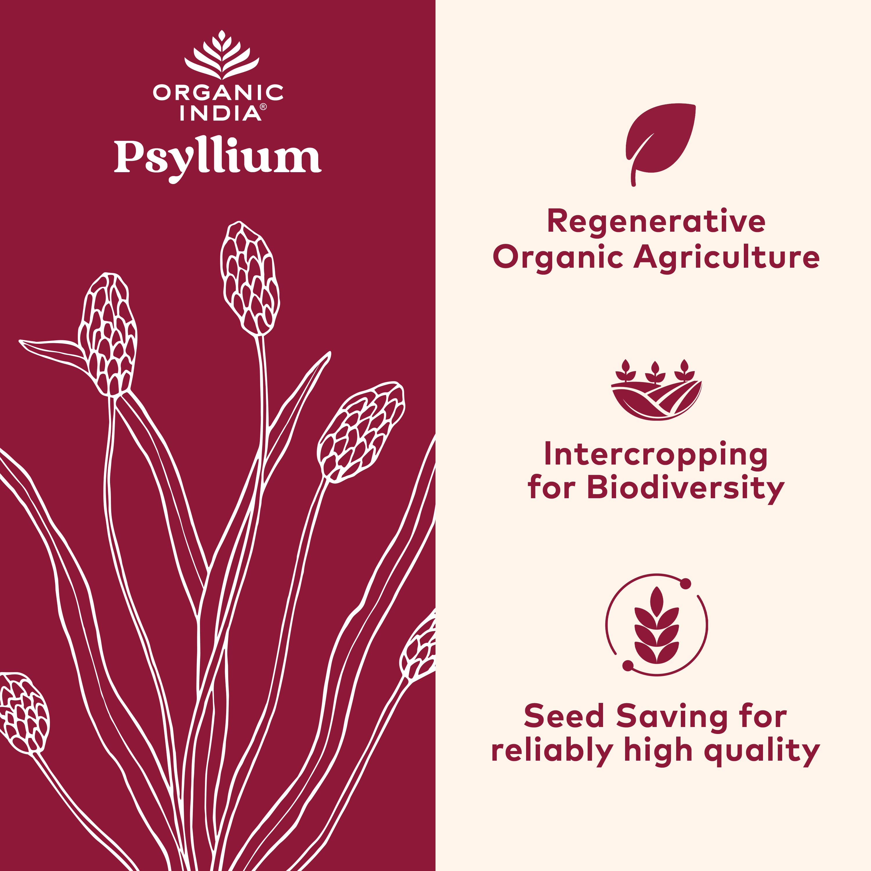 organic psyllium regenerative practices