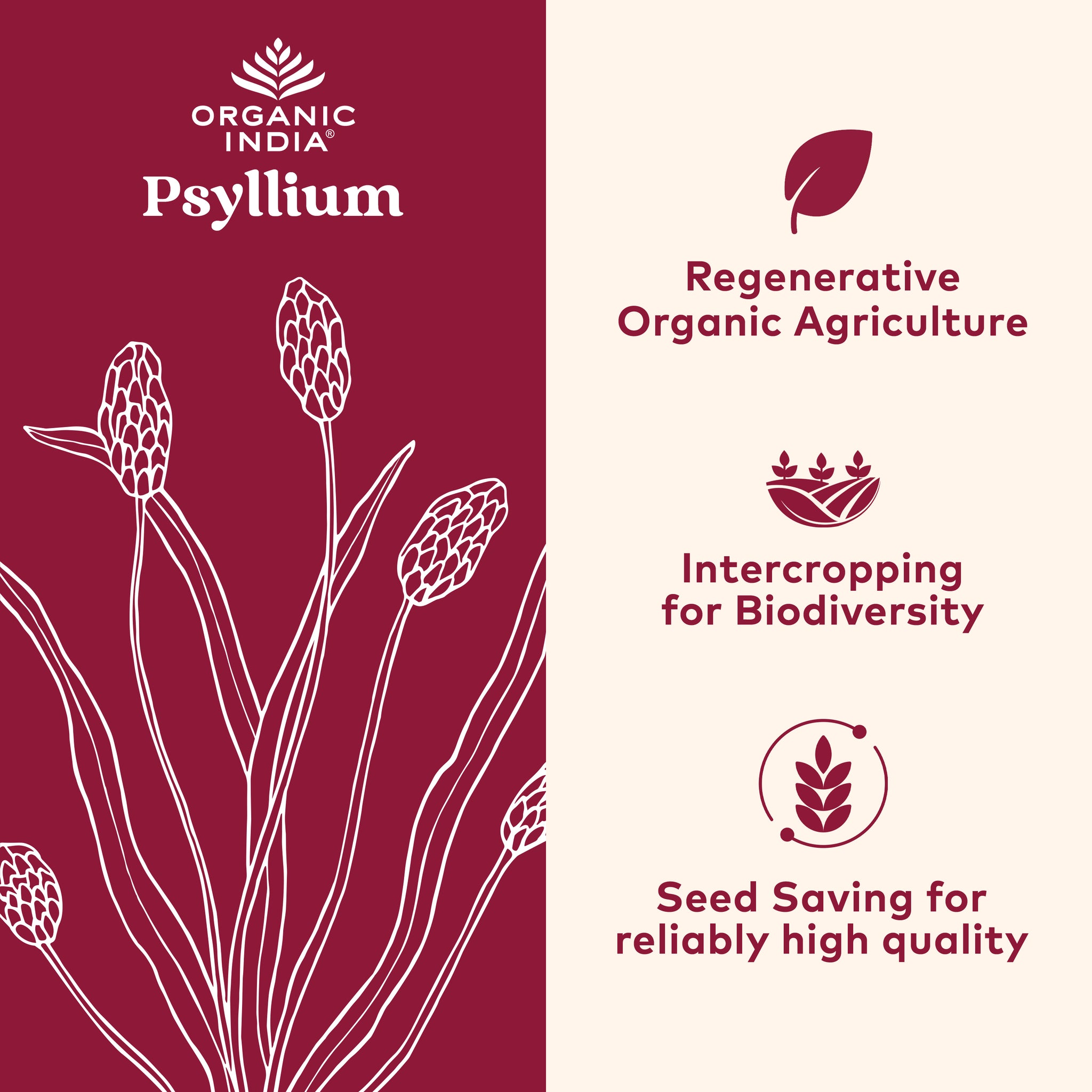 organic psyllium regenerative practices