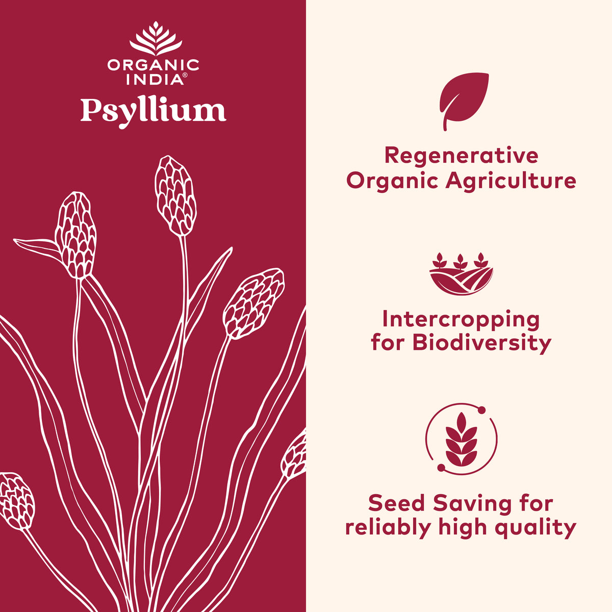 Psylim Organic Whole Husk Psyllium Fiber | Organic India