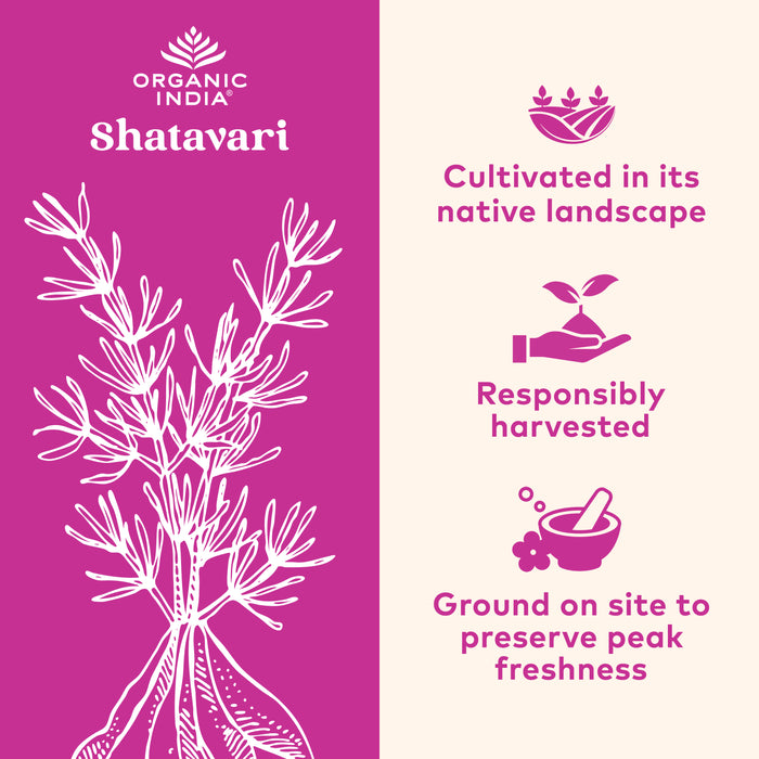 Shatavari Capsules