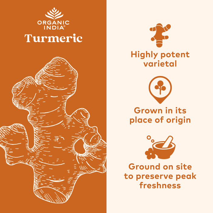 Illustrated turmeric root, potent varietal grown in its place of origin for authentic spiced turmeric latte powder, golden milk mix