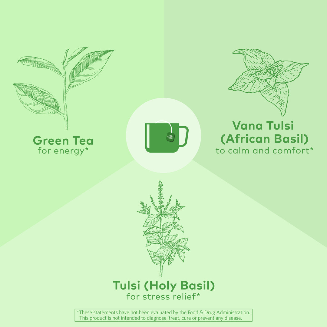 Organic Tulsi Holy Basil Green Tea Blend 