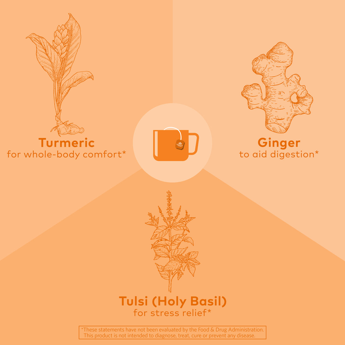 Tulsi Turmeric Ginger Tea Organic India Organic India USA