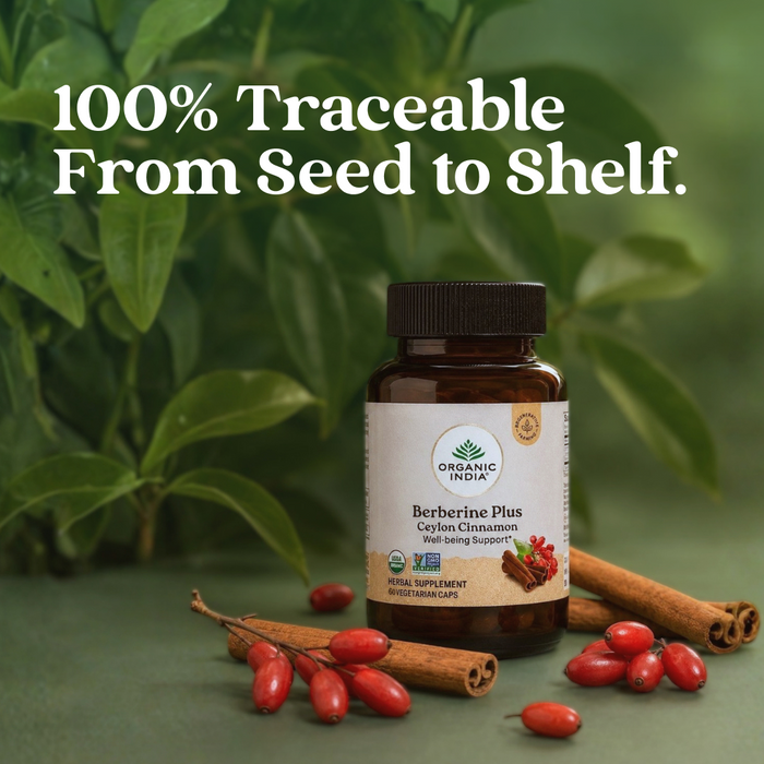 Berberine Plus Ceylon Cinnamon Capsules