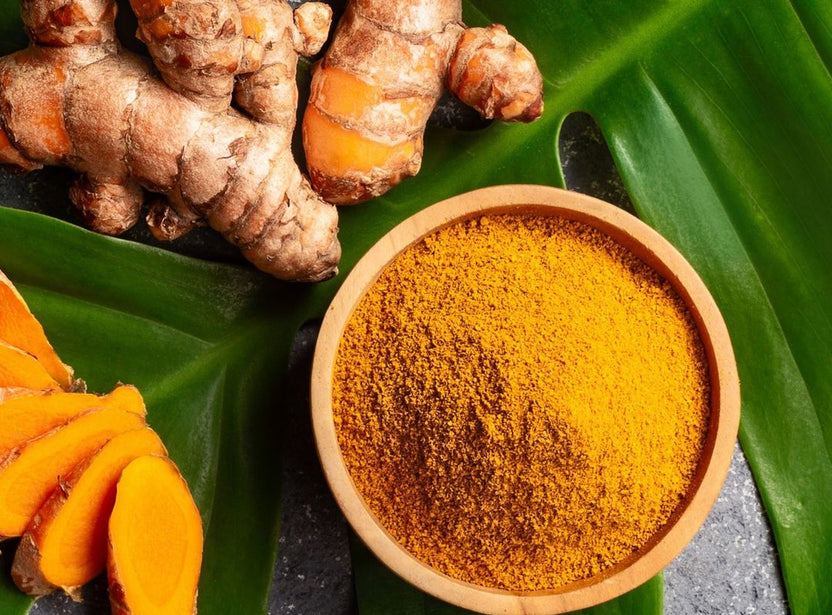 Tulsi Turmeric Ginger Tea Organic India Organic India USA